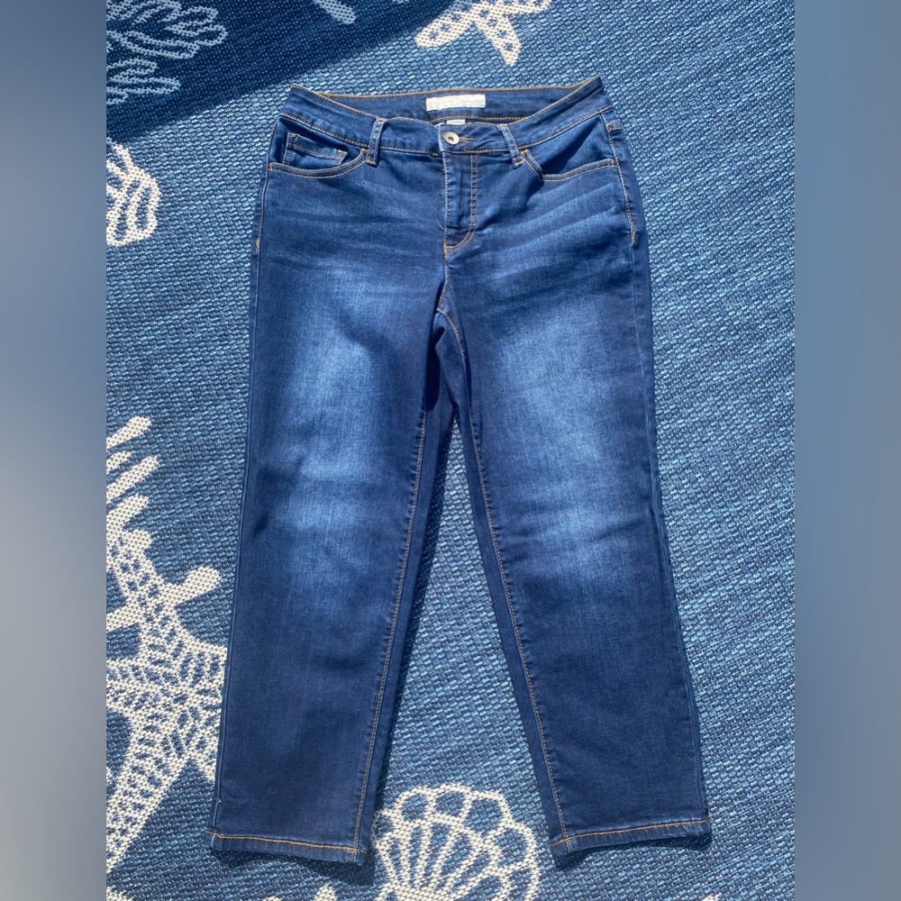 1946 Denim Capris, Contemporary Size 10